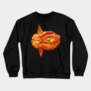 Galaxy Sunfish Crewneck Sweatshirt